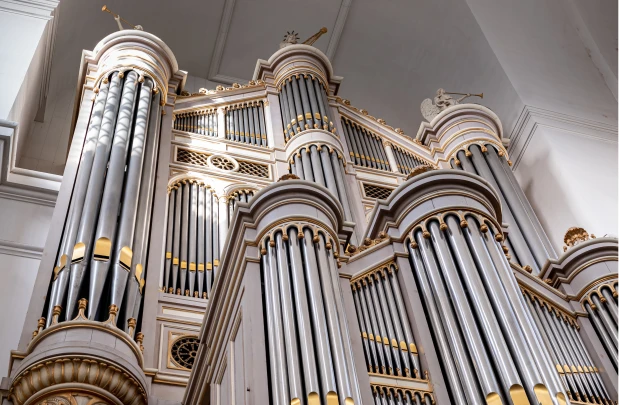 PKMuz Allen Organs